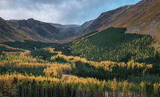 Scottish landscape